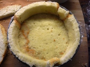 Lined with sponge